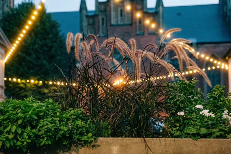 image image - 2025-11-21T151022.394.jpg